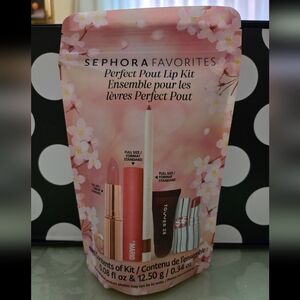 FINAL PRICE✨️SF Perfect Pout Lip Kit✨️